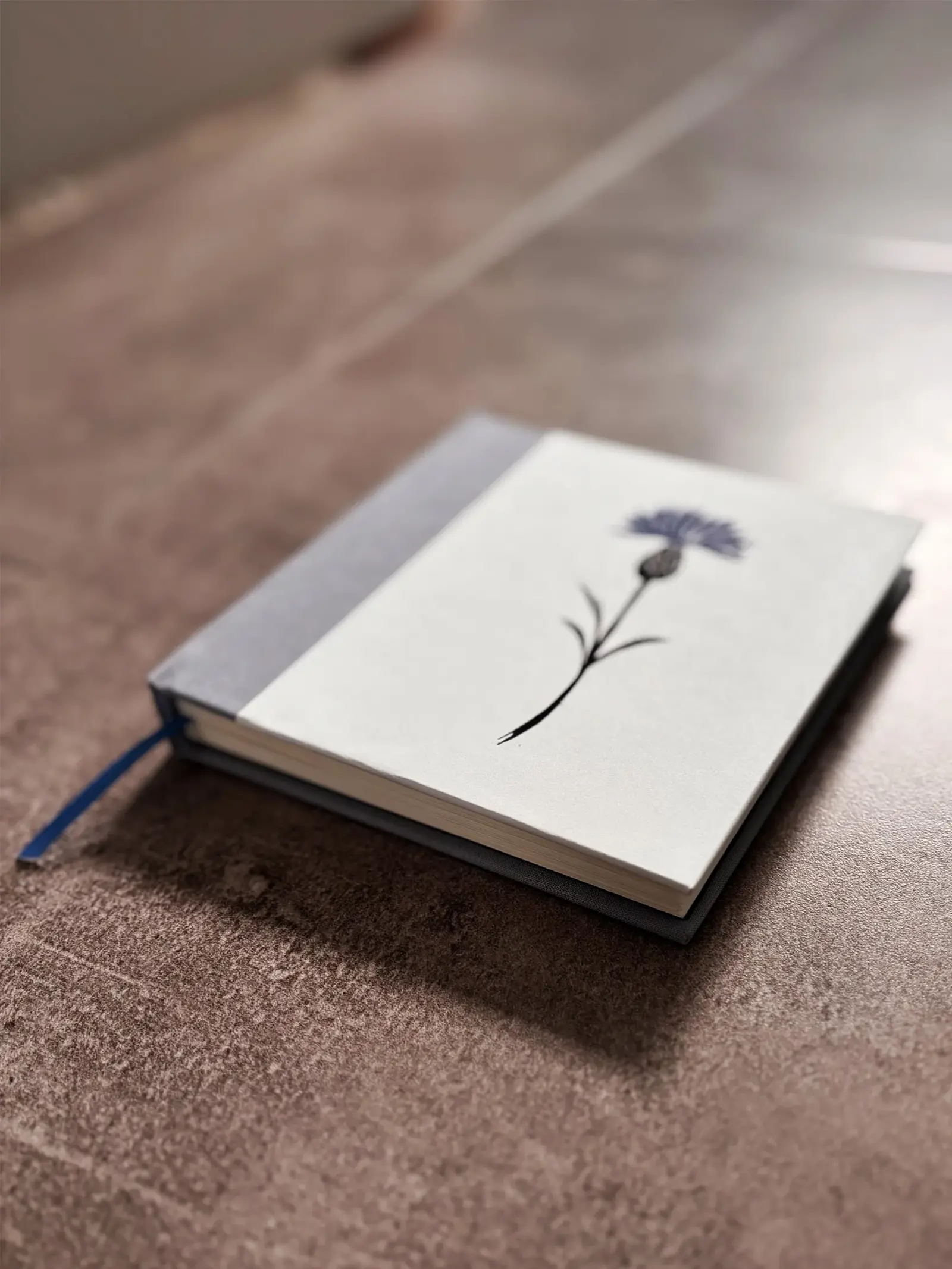 Notebooks