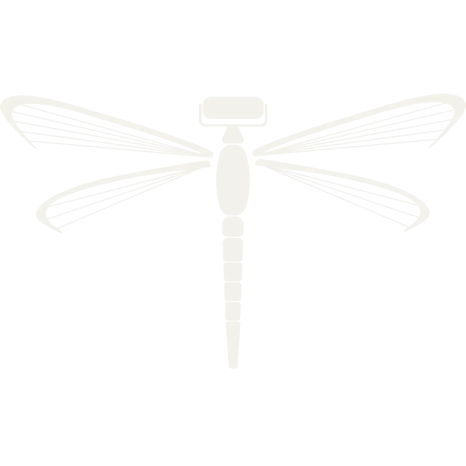 Dragonfly Art