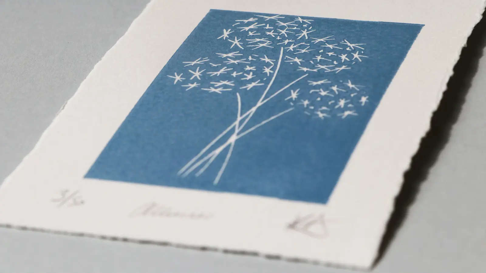 Alliums – limited edition linocut print