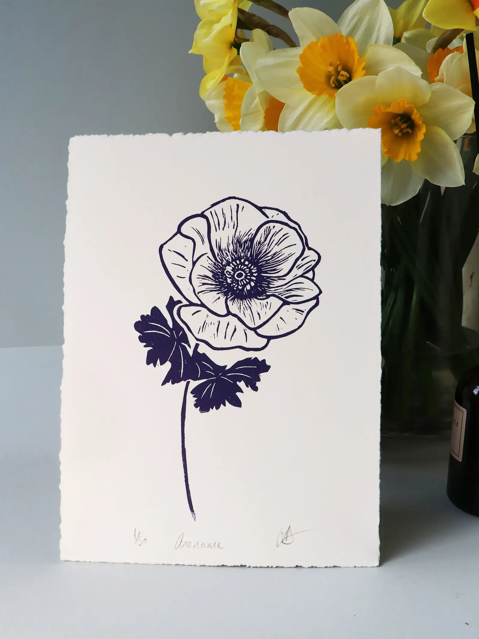 Anenome-purple-print-1.jpg