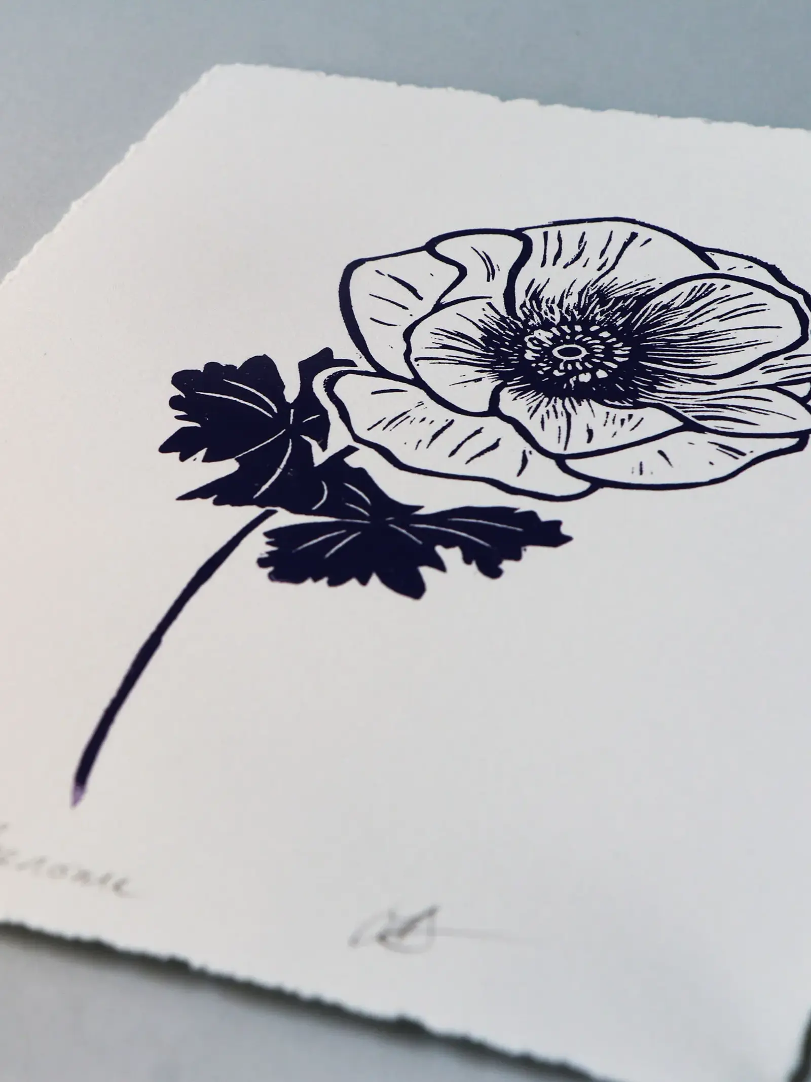 anemone purple original linocut print