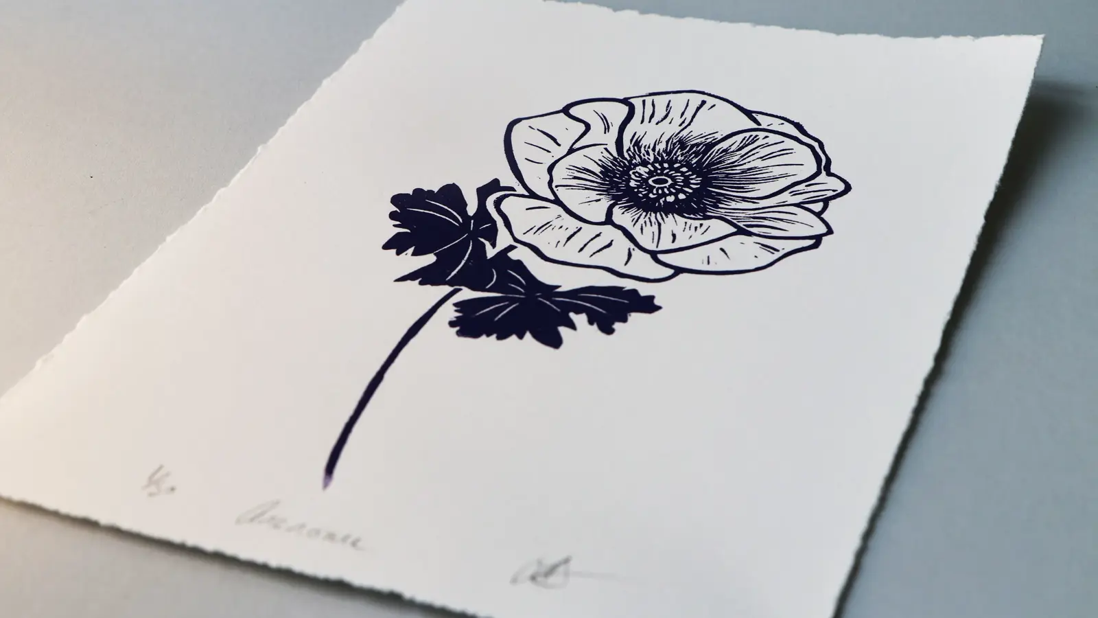 Anemone – limited edition linocut print