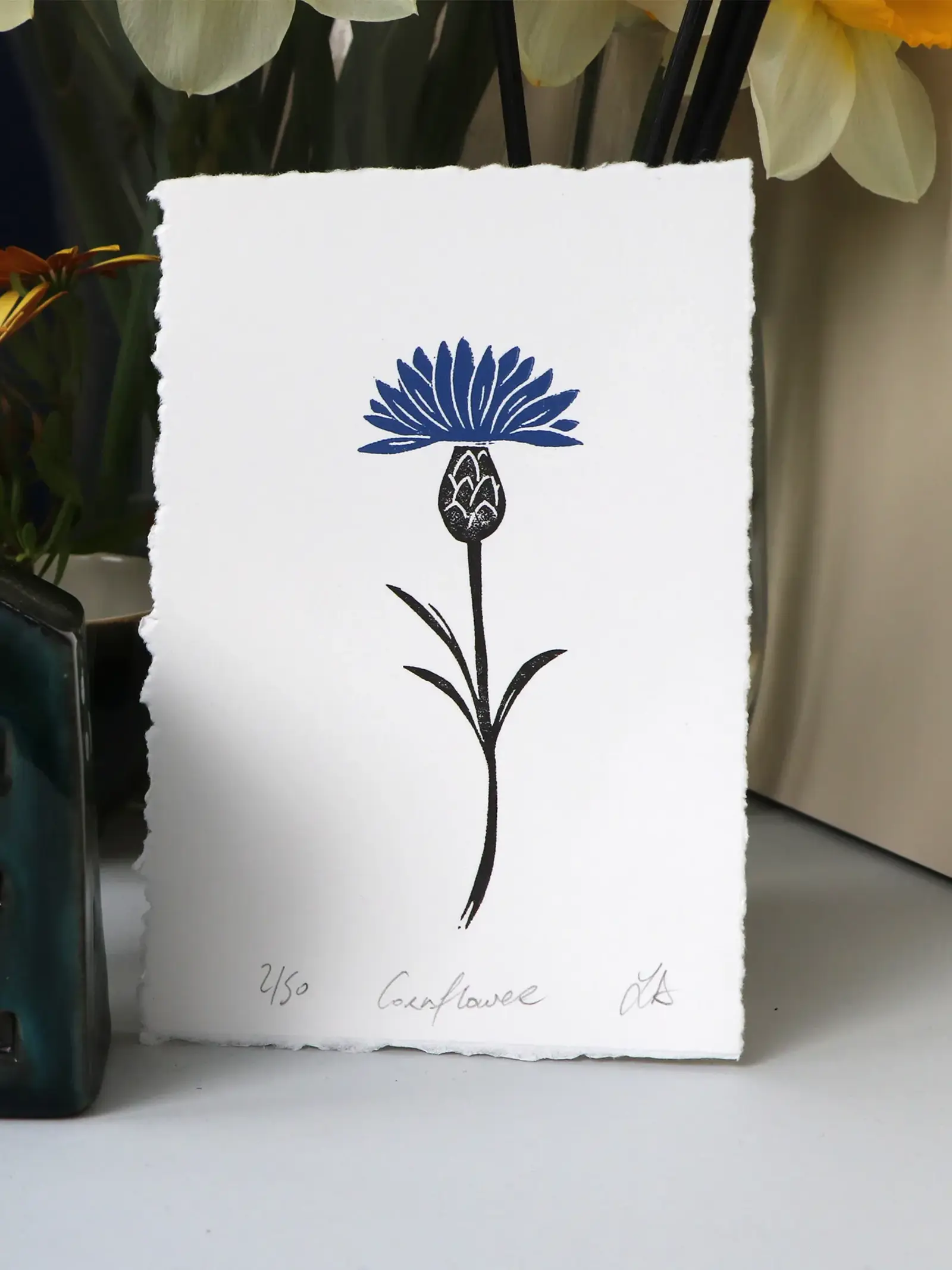 cornflower blue print